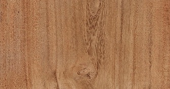 Kleine Materialkunde: Akazie als Gartenholz