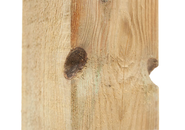 Holzbrett mit Astloch an der Schnittkante