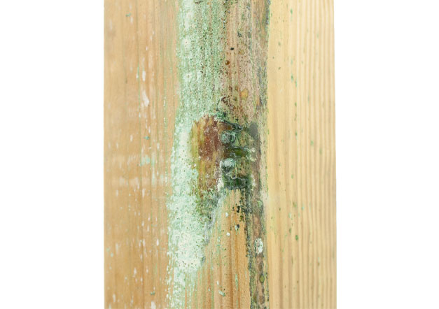 Getrocknetes Harz auf druckimprägnierter Holzlatte