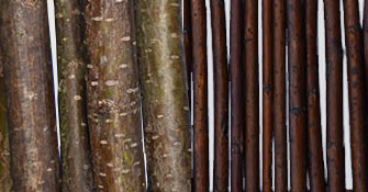 Kleine Materialkunde: Weide und Haselnuss als Gartenholz