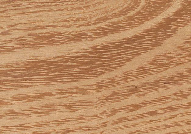 Oberfläche von Robinienholz Douglasienholz-Oberfläche mit feiner Maserung und Astansätzen, ideal für langlebige Terrassen, Fassaden oder Gartenmöbel.