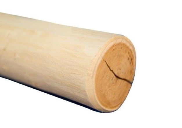 Trockenriss in Robinenpfahl