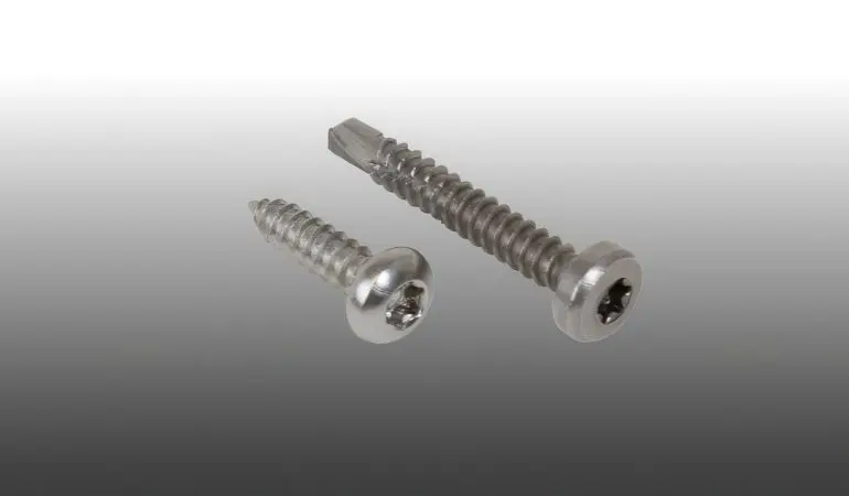Zwei 4,8 x 16 / 32 mm Edelstahlschrauben mit TX-Antrieb