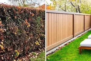 Hecke durch Sichtschutzzaun ersetzen. So gehen Sie vor