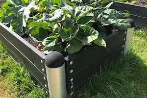 Ratgeber für bequeme Hochbeete mit Erfolgsgarantie. Lassen Sie sich inspirieren!