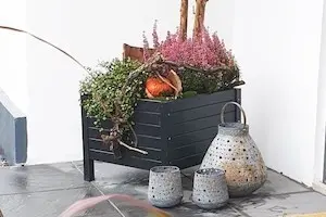 Winterbepflanzung und Winterdekorationen: Kreative Gestaltungsideen für den Pflanzkübel