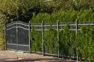 Zaun-und-Hecke-Kombination als Sichtschutz für den Garten