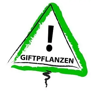 Achtung Giftpflanzen!