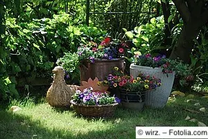 Gruppe von Pflanzgefäßen