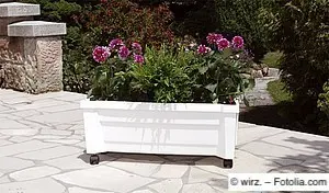 Rollbahrer Blumenkasten aus weißem Kunststoff