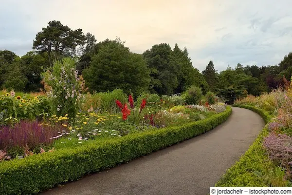 Niedrige, in Form geschnittene Hecken säumen Weg durch Park