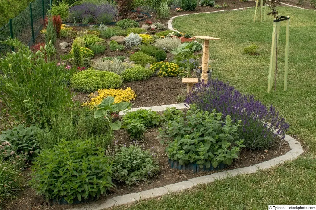 Geschwungene Steinreihe trennt die Rasenfläche vom Blumenbeet