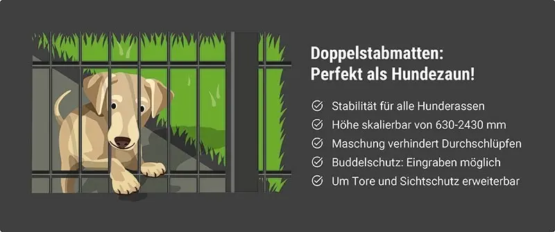 Doppelstabmatten eignen sich perfekt als Hundezaun