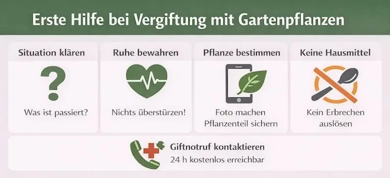 Erste Hilfe giftige Gartenpflanzen: Was tun bei Vergiftung?