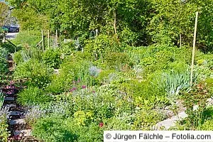 Bauerngarten Bunter Bauerngarten mit verschiedenen Pflanzen, Blumen und Kräutern, durchzogen von schmalen Wegen, umgeben von Bäumen.