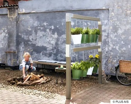 Hängegarten: Schwebende Pflanzen als dekorativer Raumteiler