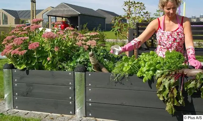 Frau gärtnert am Hochbeet Frau arbeitet in einem bepflanzten Hochbeet mit Gemüse, Kräutern und Blumen in einem modernen Garten.