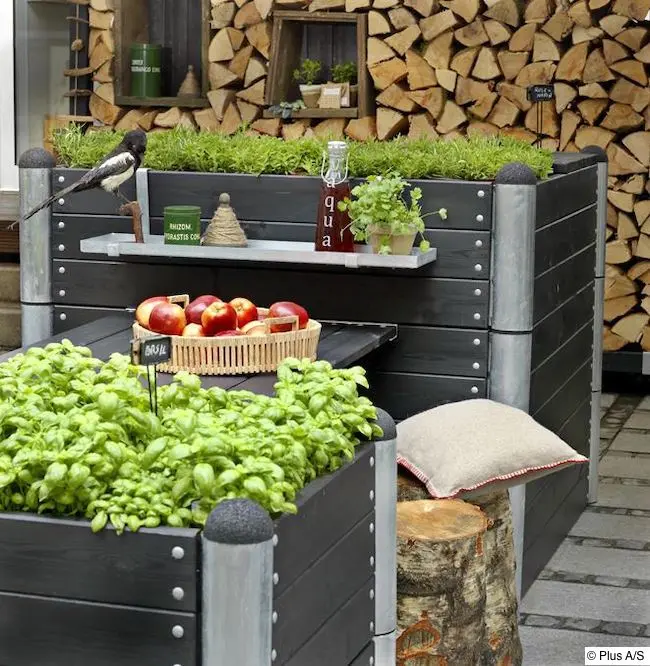 Terrasse, im Vordergrund Hochbeet mit Basilikum