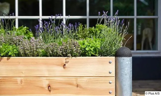 Mit Gartenkräutern bepflanztes Hochbeet vor Terrassenfenster