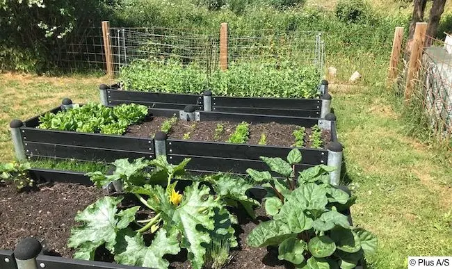 Drei Hochbeet hintereinander auf Rasenfläche