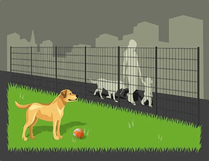 Hundezaun im Garten: Darauf kommt es an!