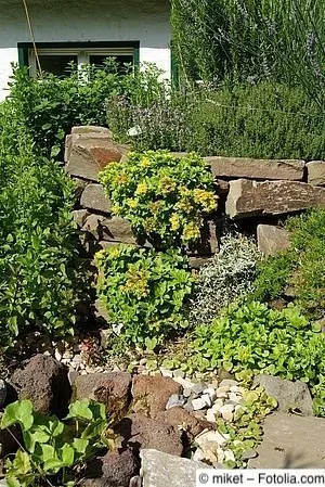 Südlich ausgerichtete Trockenmauer