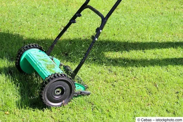 Mulchmäher häckselt Grashalme klein