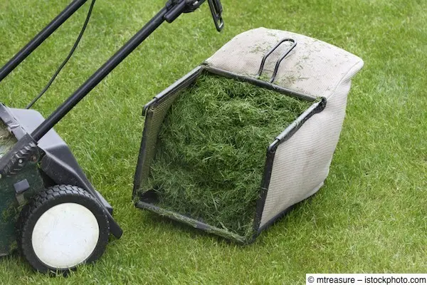 Rasenmäher mit prall gefülltem Fangkorb