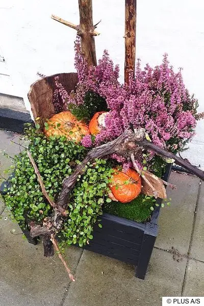 Blumenkasten mit Heidekraut, Zierkürbissen, Fundstücken aus dem Wald und Muehlenbeckia