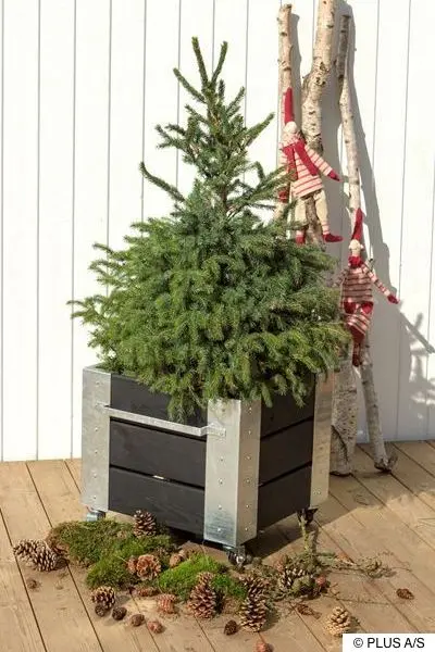 Konifere im Holzpflanzkübel mit winterlicher Dekoration auf Terrasse