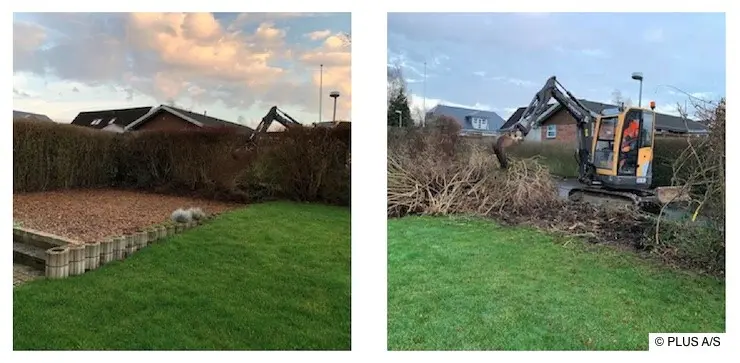 Weg mit der alten Hecke. Dank Minibagger war die Arbeit schnell erledigt