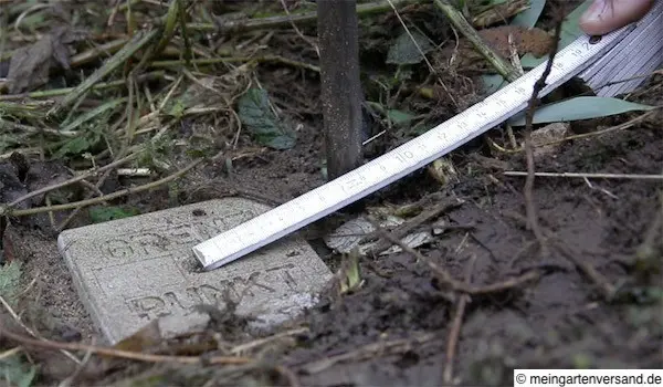 Grundstücksgrenze beachten