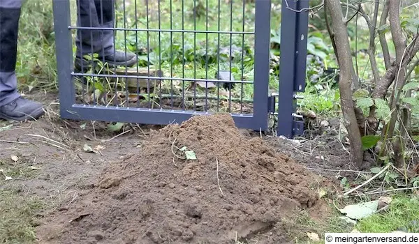 Torpfosten einsetzen