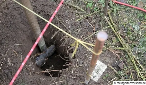 Pfostenlöcher ausheben