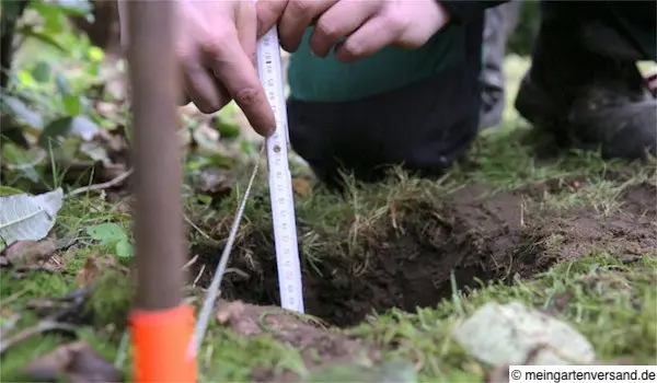 Lochtiefe ausmessen (50 cm)