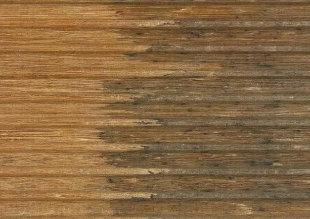 Eisen-Gerbstoff-Reaktion auf Eichenholz