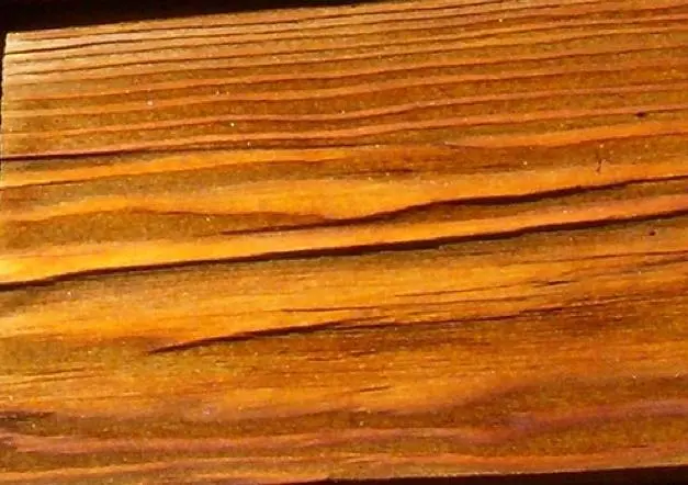 Rissbildung in Lärchenholz